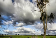 天涯论坛热议海南儋州发展，大家齐心共绘美好蓝图